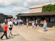 PN040824-125 - Paul Nicholls stable visit